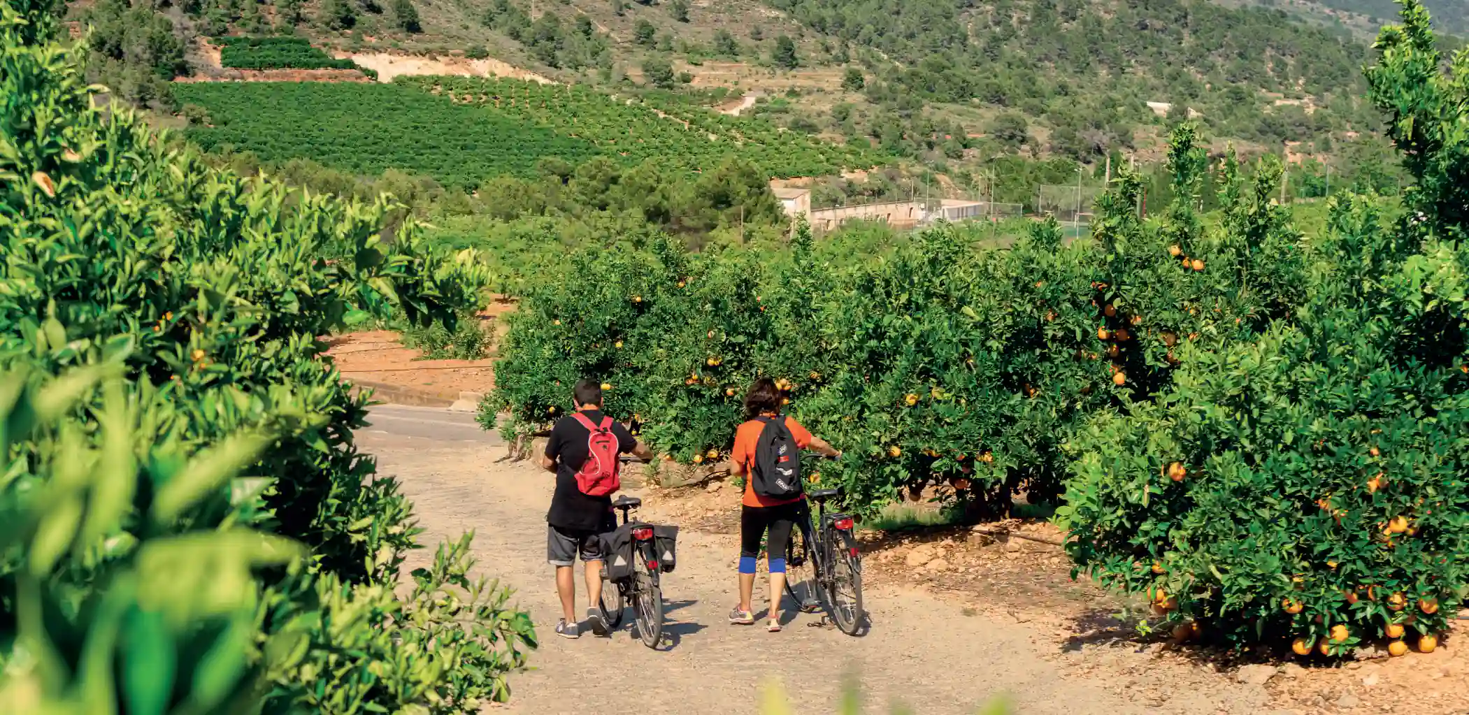 7 Days Negros Cycling Tours